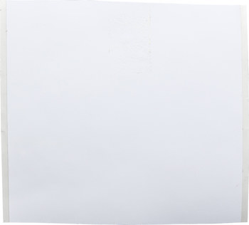 Brady BradyJet J20C-2250-2569 Ink-Jet Printable Label Roll - 2.25 in x 100 ft - Polyester - White - B-2569 - 61397