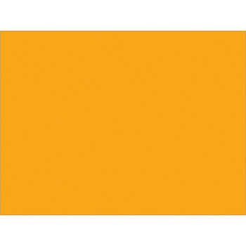 5" X 7" Fluorescent Orange Rectangle Labels (500