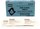 North 10 Wipers PVP Iodine Wipes - NORTH 02-1201X
