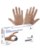 Global Glove Clear 2XL Powder Free Disposable Gloves - Industrial Grade - 10 in Length - Smooth Finish - 2 mil Thick - 8600PF-2XL