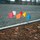 Brady Steel / Plastic Rectangle Orange Underground Hazard Marking Flags Sign - 5 in Width x 4 in Height - 98169